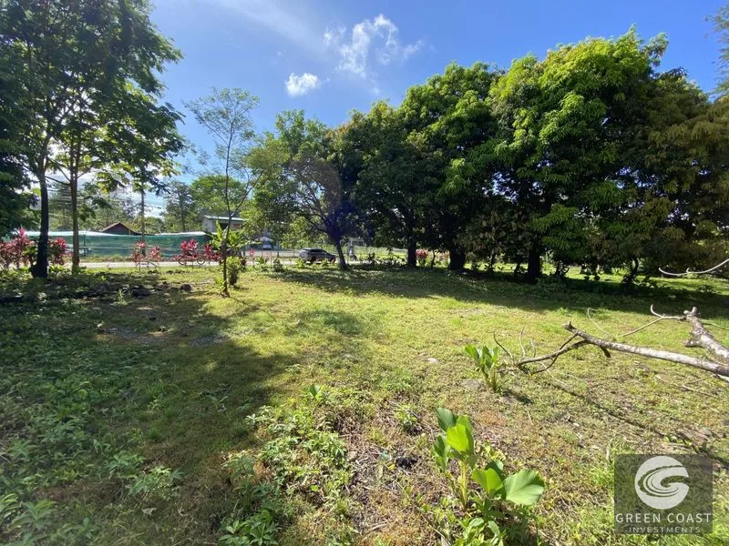 Prime Commercial Lot in Downtown Uvita: Flat, Subdividable Land with Paved Road Frontage — view 5, Dominical, Costa Rica