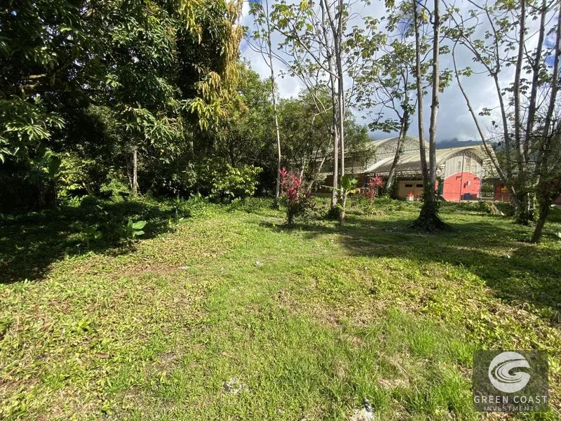 Prime Commercial Lot in Downtown Uvita: Flat, Subdividable Land with Paved Road Frontage — view 7, Dominical, Costa Rica