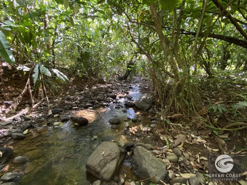 Prime Commercial Lot in Downtown Uvita: Flat, Subdividable Land with Paved Road Frontage — view 8, Dominical, Costa Rica