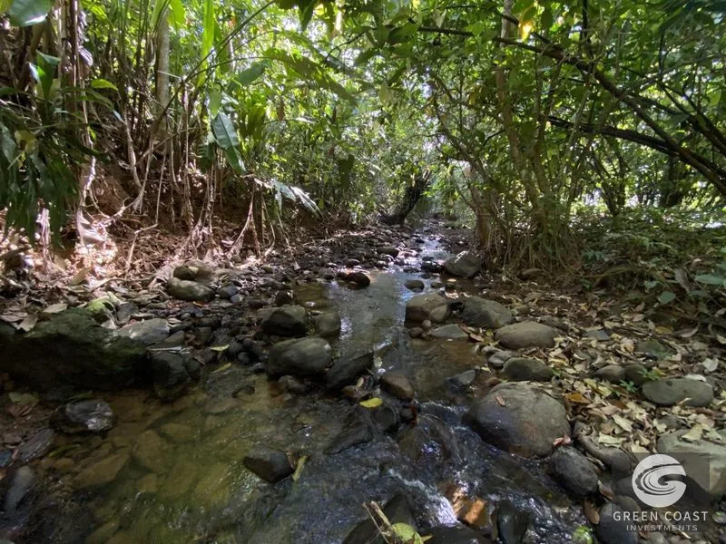 Prime Commercial Lot in Downtown Uvita: Flat, Subdividable Land with Paved Road Frontage — view 10, Dominical, Costa Rica