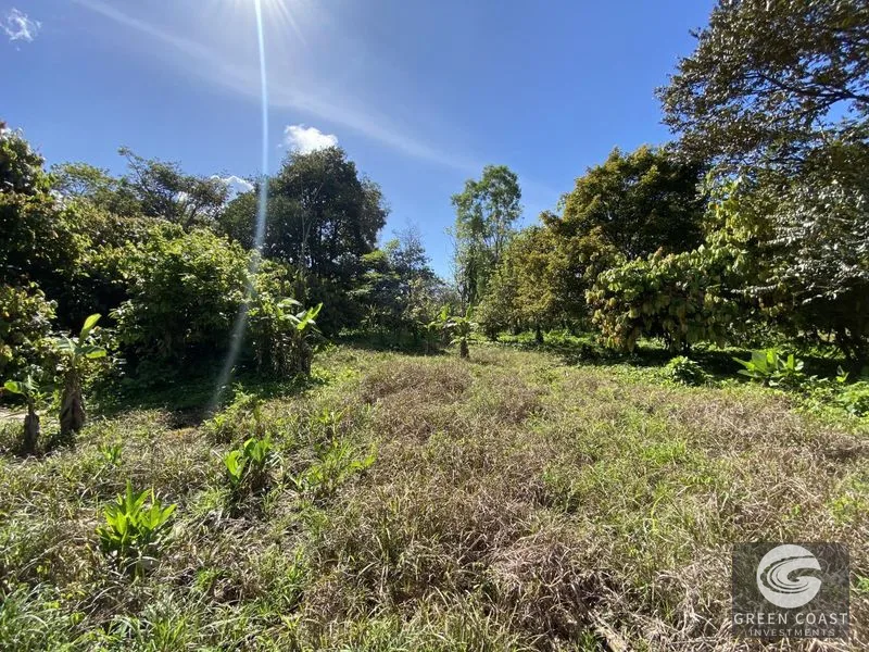 Prime Commercial Lot in Downtown Uvita: Flat, Subdividable Land with Paved Road Frontage — view 11, Dominical, Costa Rica