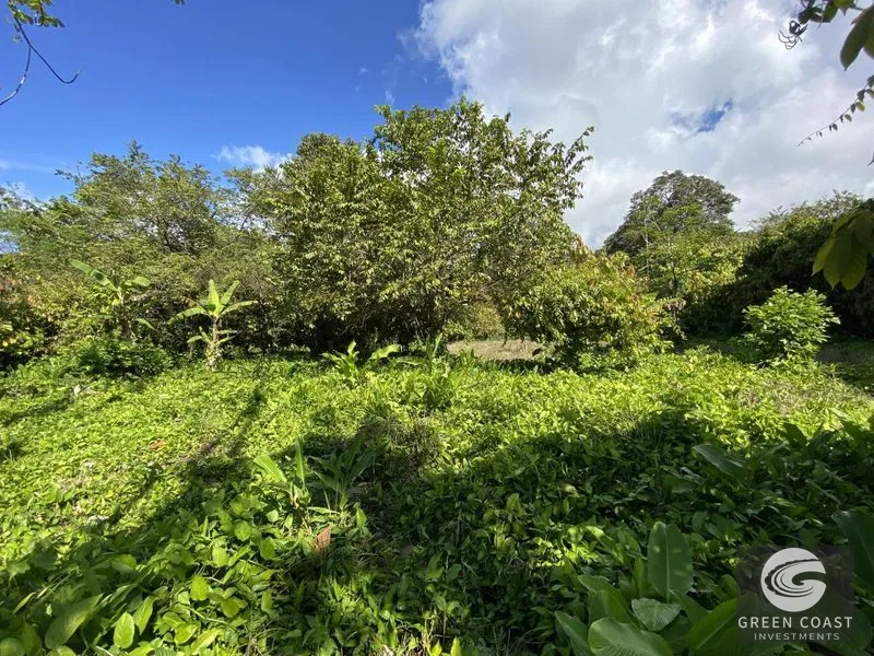 Prime Commercial Lot in Downtown Uvita: Flat, Subdividable Land with Paved Road Frontage — view 12, Dominical, Costa Rica