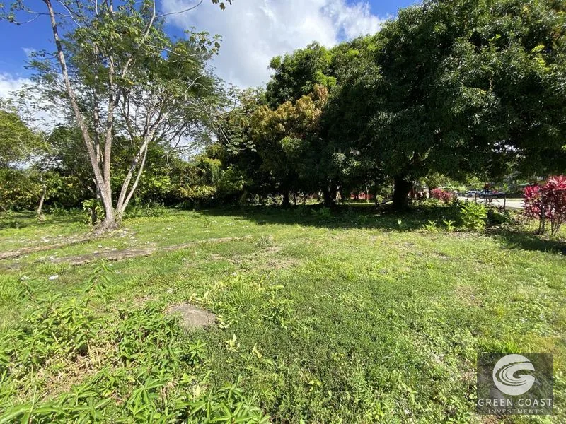 Prime Commercial Lot in Downtown Uvita: Flat, Subdividable Land with Paved Road Frontage — view 13, Dominical, Costa Rica