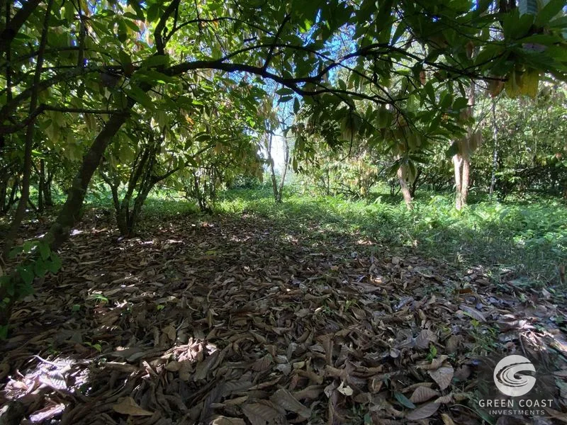 Prime Commercial Lot in Downtown Uvita: Flat, Subdividable Land with Paved Road Frontage — view 14, Dominical, Costa Rica