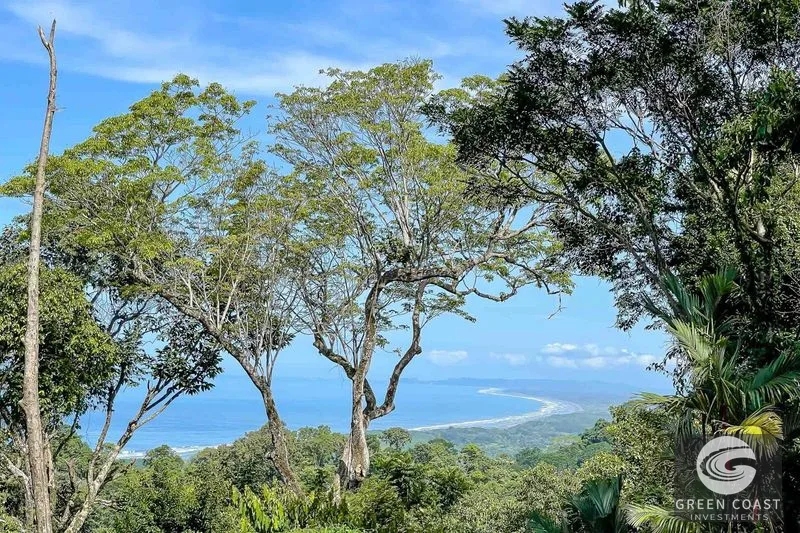 23-Acre Ocean View Estate in Exclusive Eco-Community with Pool & Guest House — view 7, Dominical, Costa Rica
