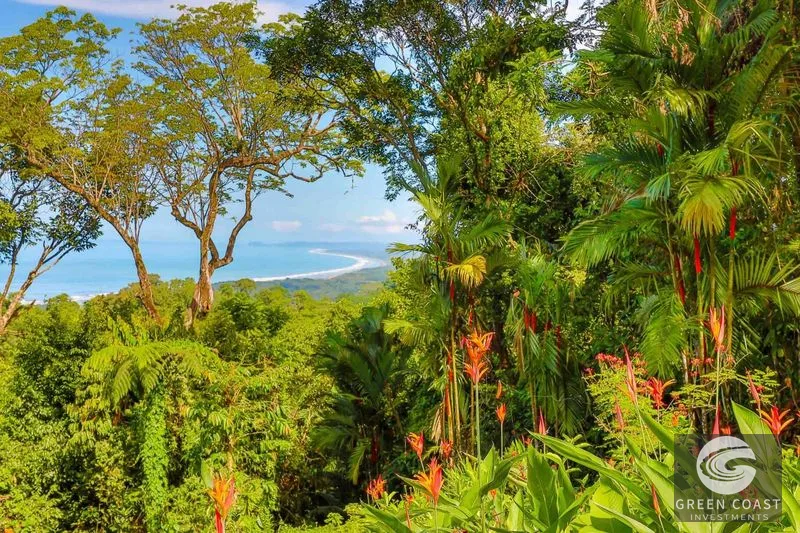 23-Acre Ocean View Estate in Exclusive Eco-Community with Pool & Guest House — view 9, Dominical, Costa Rica