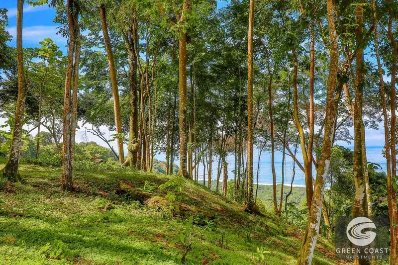 23-Acre Ocean View Estate in Exclusive Eco-Community with Pool & Guest House — view 13, Dominical, Costa Rica