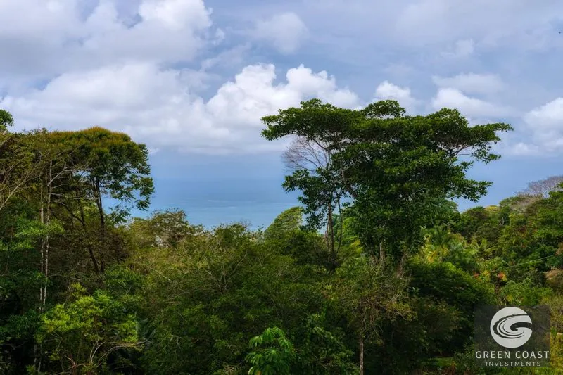 Modern 4-BR Ocean-View Villa with Saltwater Pool in Exclusive Escalares — view 66, Dominical, Dominical, Costa Rica