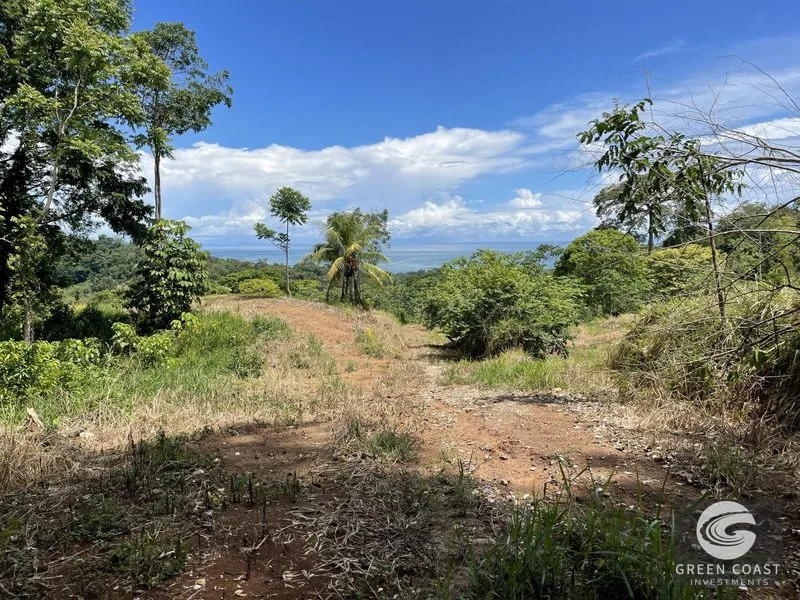 15-Acre Ocean View Development Land in Uvita with Legal Water & Sunset Views — view 6, Uvita, Uvita, Costa Rica