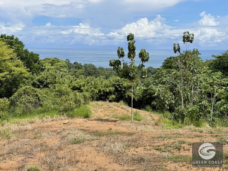 15-Acre Ocean View Development Land in Uvita with Legal Water & Sunset Views — view 15, Uvita, Uvita, Costa Rica