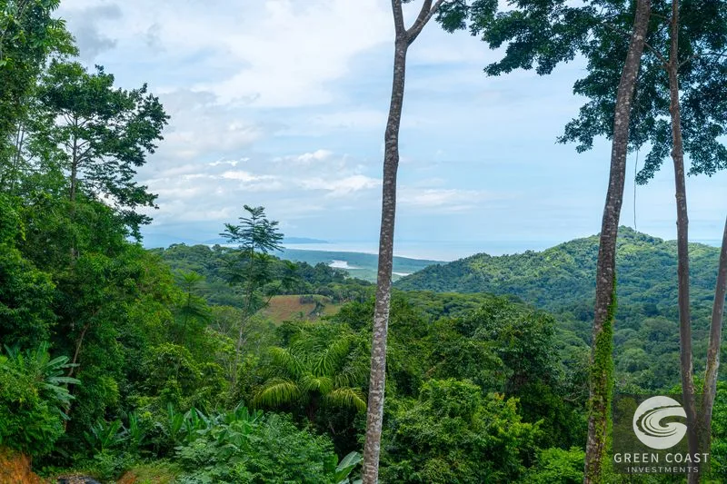 Luxury Ocean-View Jungle Estate with Pool in El Pavón, Ojochal — view 31, Ojochal, Costa Rica
