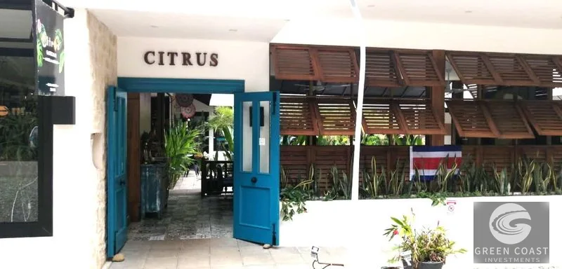 Lucrative Commercial Plaza & Boutique Hotel in Ojochal: Fully Leased with Pool — view 2, Ojochal, Costa Rica