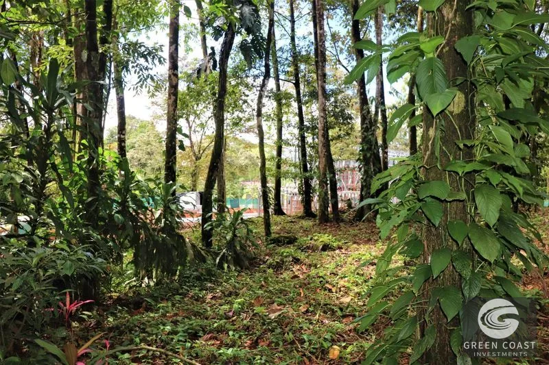 Prime 5.9-Acre Commercial Development Land in Downtown Uvita with Costanera Highway Frontage — view 8, Dominical, Costa Rica