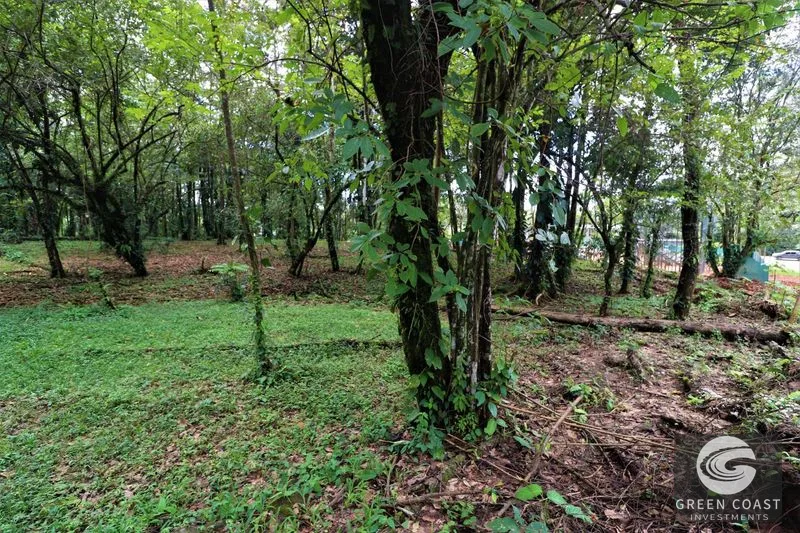 Prime 5.9-Acre Commercial Development Land in Downtown Uvita with Costanera Highway Frontage — view 14, Dominical, Costa Rica
