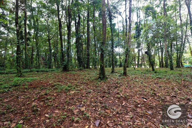 Prime 5.9-Acre Commercial Development Land in Downtown Uvita with Costanera Highway Frontage — view 15, Dominical, Costa Rica