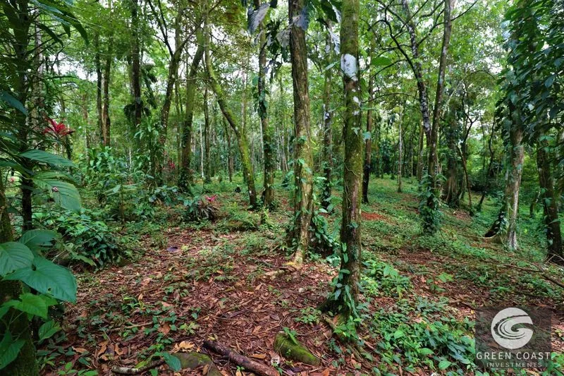Prime 5.9-Acre Commercial Development Land in Downtown Uvita with Costanera Highway Frontage — view 25, Dominical, Costa Rica