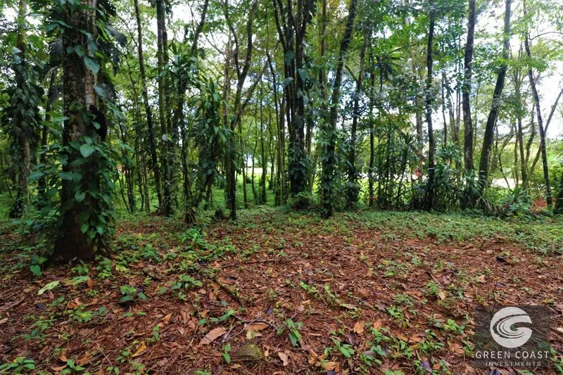 Prime 5.9-Acre Commercial Development Land in Downtown Uvita with Costanera Highway Frontage — view 31, Dominical, Costa Rica