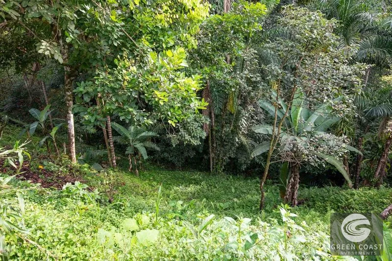 Affordable Manuel Antonio Starter Home — view 10, Manuel Antonio, Quepos, Costa Rica