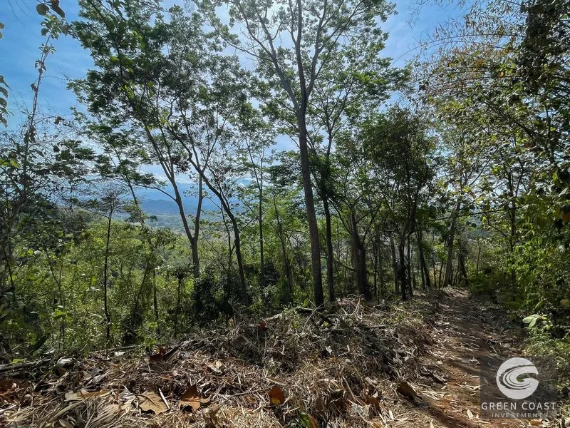 Ocean View Development Land near Manuel Antonio — view 4, Parrita, Parrita, Costa Rica