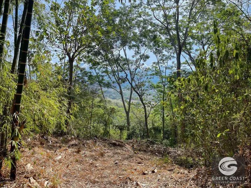 Ocean View Development Land near Manuel Antonio — view 5, Parrita, Parrita, Costa Rica
