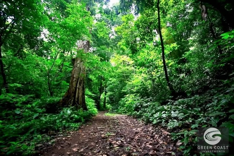 Atenas 240-Acre Development Land: 93 Registered Lots, Hacienda & Natural Springs — view 2, Atenas, Costa Rica