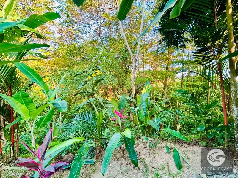 Uvita 2BR Beachside Cottage: High-Yield Airbnb Investment Near Playa Hermosa — view 13, Uvita, Osa, Costa Rica