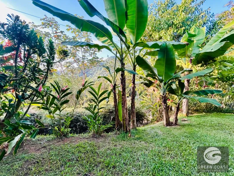 Uvita 2BR Beachside Cottage: High-Yield Airbnb Investment Near Playa Hermosa — view 49, Uvita, Osa, Costa Rica
