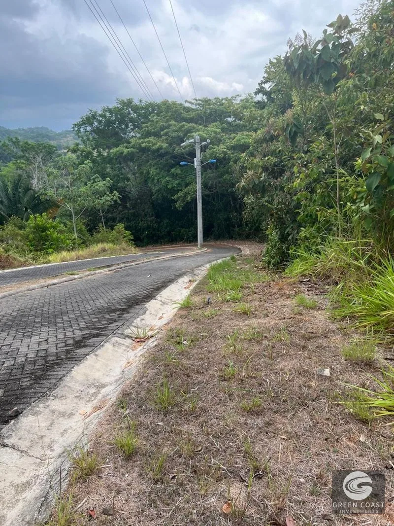 Affordable Beachfront Lot in Esterillos Oeste | 2,198 m² Near Jacó — view 5, Parrita, Parrita, Costa Rica