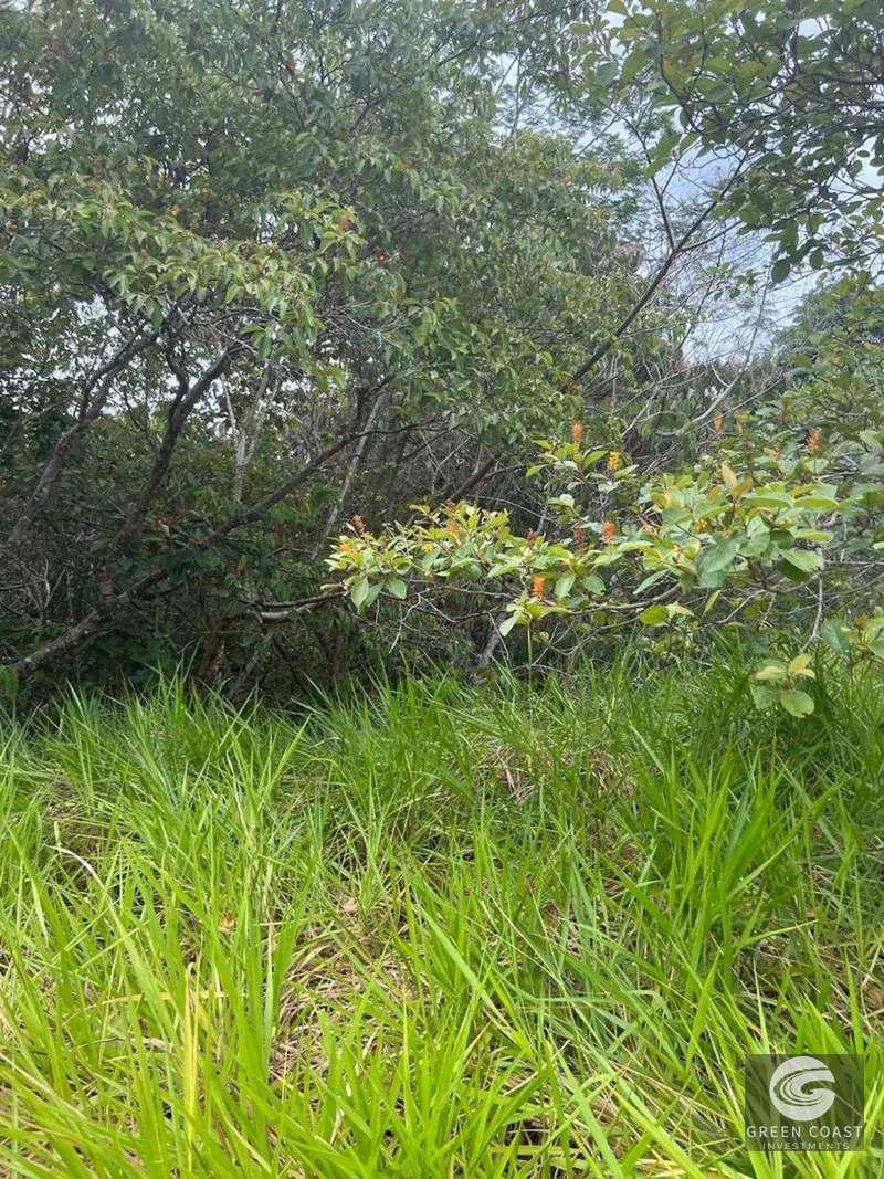 Affordable Beachfront Lot in Esterillos Oeste | 2,198 m² Near Jacó — view 6, Parrita, Parrita, Costa Rica