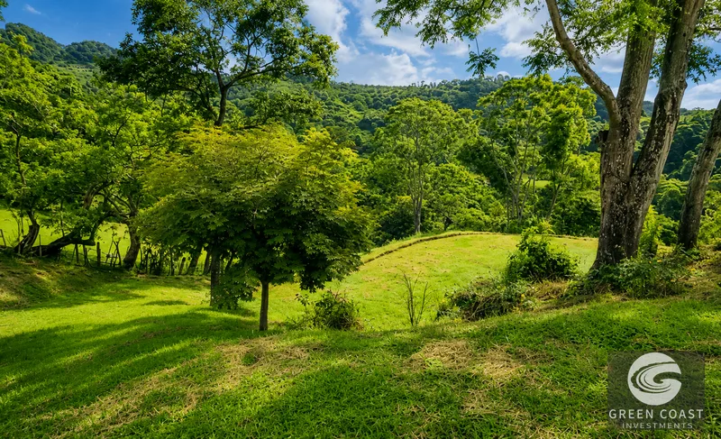 Atenas Valley-View Building Lot: 1.25 Acres in Private Boutique Community — view 3, Atenas, Costa Rica