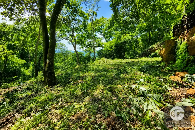 1.6-Acre Eco-Lot in Atenas Gated Community with Waterfalls, Ancient Trees, and Scenic Views — view 1, Atenas, Costa Rica