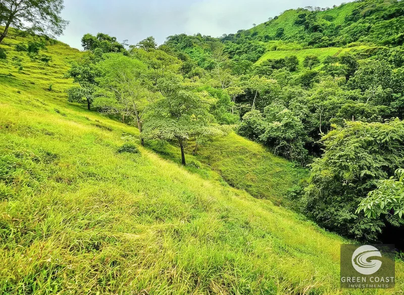 50-Acre Ocean View Farm with Dual Rivers & Waterfalls in Atenas — view 14, Desmonte, Atenas, Costa Rica