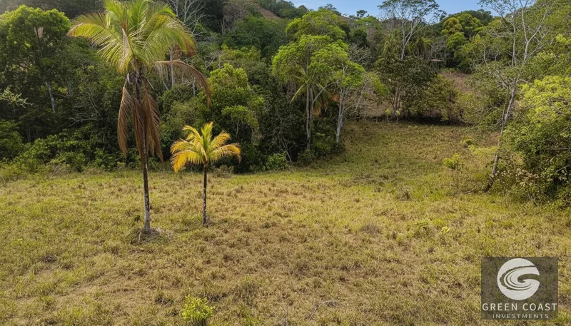 Playa Hermosa Ocean-View Mountain Estate: 5.7 Acres of Jungle Paradise — view 3, Jacó, Costa Rica