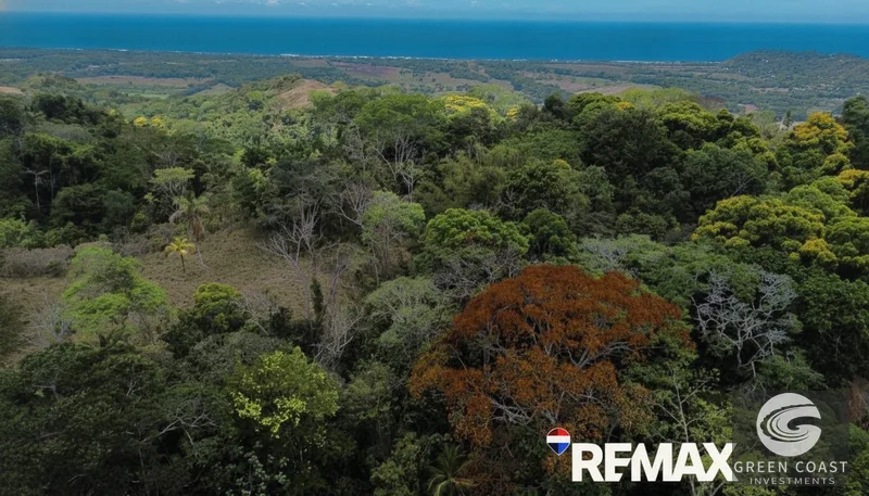 Playa Hermosa Ocean-View Mountain Estate: 5.7 Acres of Jungle Paradise — view 4, Jacó, Costa Rica