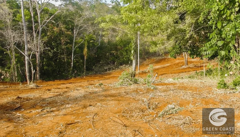 Playa Hermosa Ocean-View Mountain Estate: 5.7 Acres of Jungle Paradise — view 9, Jacó, Costa Rica