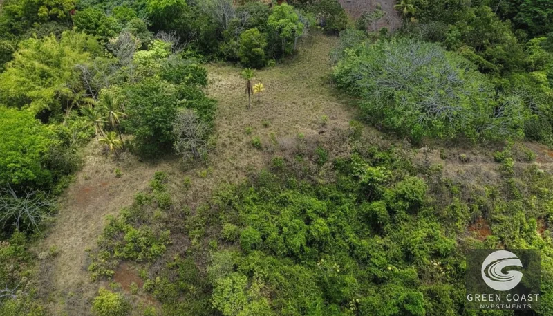 Playa Hermosa Ocean-View Mountain Estate: 5.7 Acres of Jungle Paradise — view 10, Jacó, Costa Rica