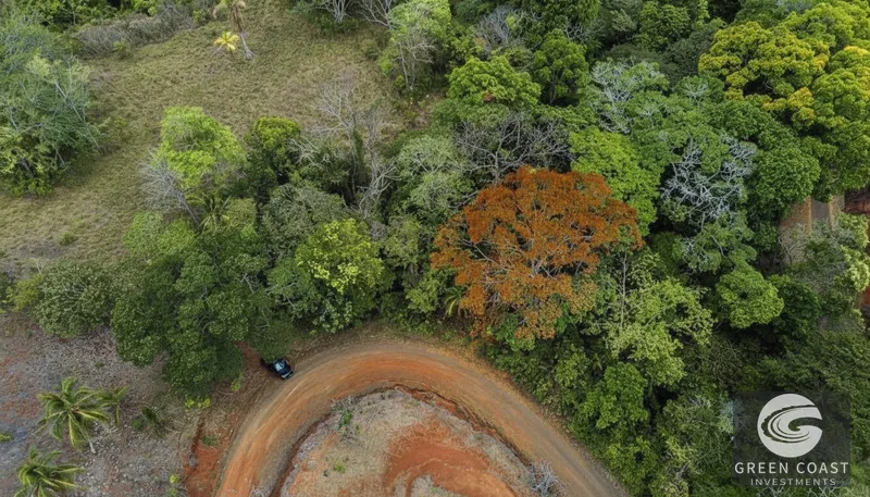 Playa Hermosa Ocean-View Mountain Estate: 5.7 Acres of Jungle Paradise — view 11, Jacó, Costa Rica