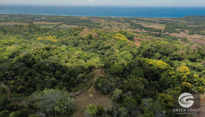 Playa Hermosa Ocean-View Mountain Estate: 5.7 Acres of Jungle Paradise — view 13, Jacó, Costa Rica