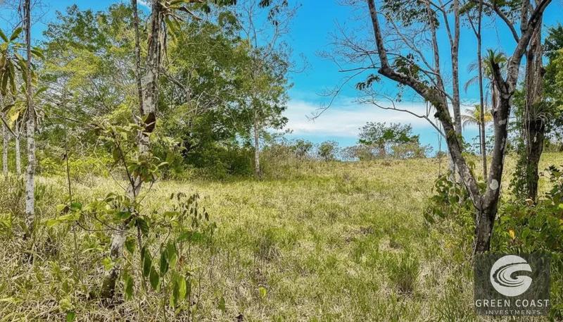 Playa Hermosa Ocean-View Mountain Estate: 5.7 Acres of Jungle Paradise — view 15, Jacó, Costa Rica