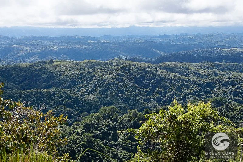 Massive 242-Acre Ocean View Farm Near Playa Hermosa: Prime Development Land with Beach Access — view 5, Playa Hermosa, Garabito, Costa Rica