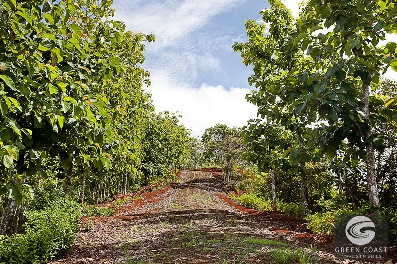 Massive 242-Acre Ocean View Farm Near Playa Hermosa: Prime Development Land with Beach Access — view 6, Playa Hermosa, Garabito, Costa Rica