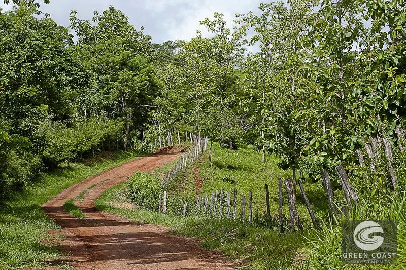 Massive 242-Acre Ocean View Farm Near Playa Hermosa: Prime Development Land with Beach Access — view 8, Playa Hermosa, Garabito, Costa Rica