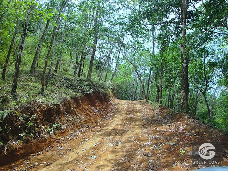 Prime Jaco Beachfront Development Land | Rare Costa Rica Investment Opportunity — view 18, Jaco, Garabito, Costa Rica