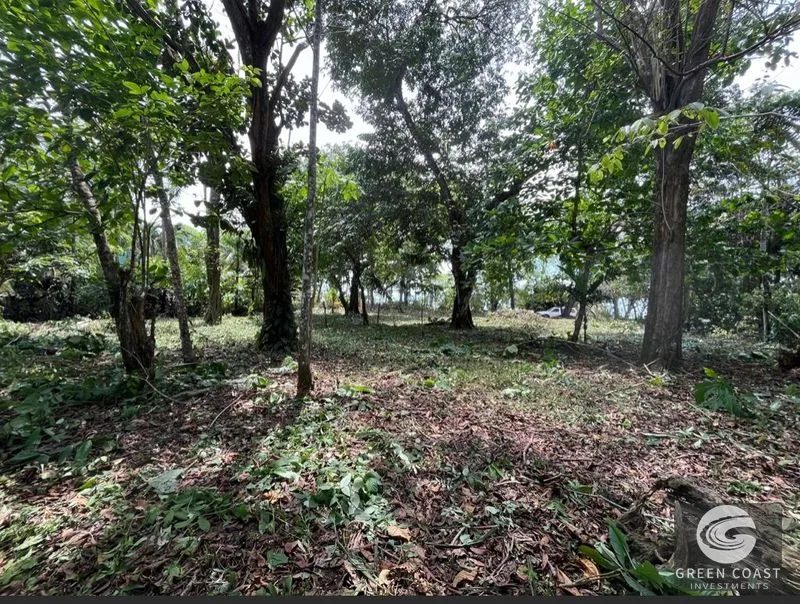 Rare Beachfront Lot in Punta Banco | 1/4 Acre Oceanfront Parcel in Pavones — view 1, Pavones, Costa Rica