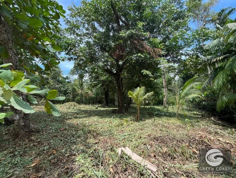 Rare Beachfront Lot in Punta Banco | 1/4 Acre Oceanfront Parcel in Pavones — view 2, Pavones, Costa Rica