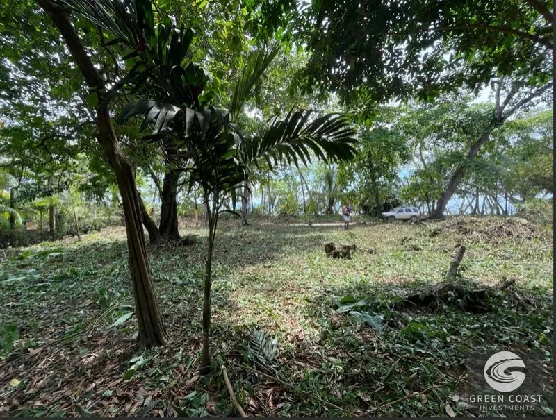 Rare Beachfront Lot in Punta Banco | 1/4 Acre Oceanfront Parcel in Pavones — view 4, Pavones, Costa Rica