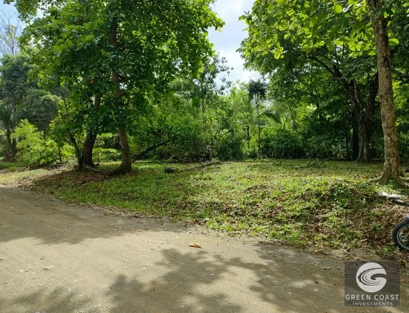 Rare Beachfront Lot in Punta Banco | 1/4 Acre Oceanfront Parcel in Pavones — view 5, Pavones, Costa Rica