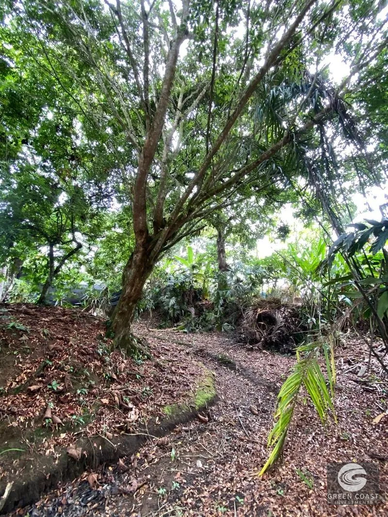 Affordable 3-BR Pavones Beach Cottage with 50+ Fruit Tree Varieties on Private Half-Acre — view 17, Pavones, Costa Rica