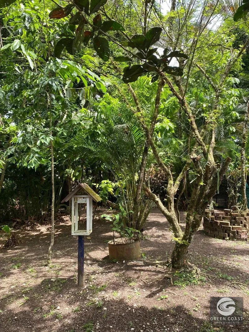 Affordable 3-BR Pavones Beach Cottage with 50+ Fruit Tree Varieties on Private Half-Acre — view 20, Pavones, Costa Rica