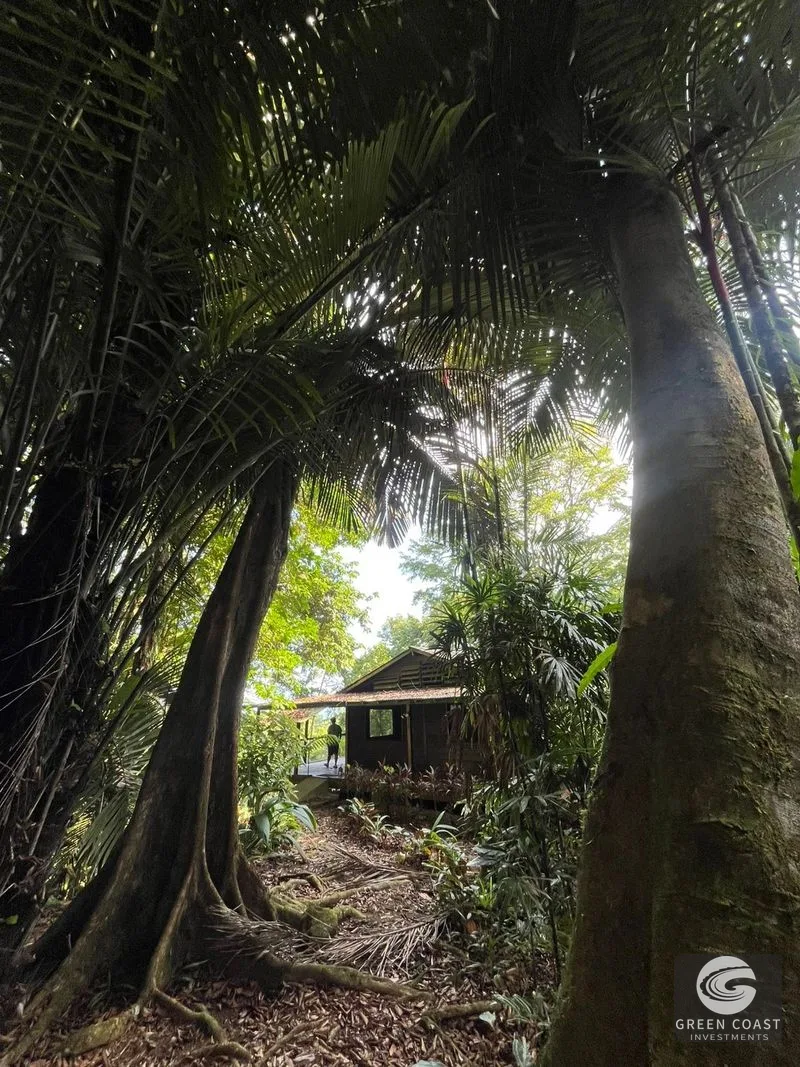 Pavones Surf Ranch: 5-Acre Jungle Estate Near World-Class Point Break — view 1, Pavones, Costa Rica